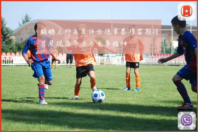 鹈鹕主帅高度评价德章泰穆雷期待其展现领导力与竞争精神