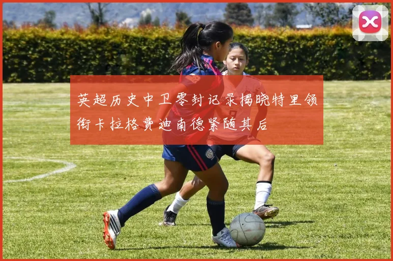 英超历史中卫零封记录揭晓特里领衔卡拉格费迪南德紧随其后