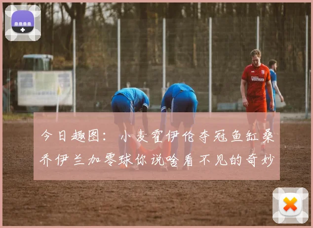 今日趣图：小麦霍伊伦夺冠鱼缸桑乔伊兰加零球你说啥看不见的奇妙瞬间